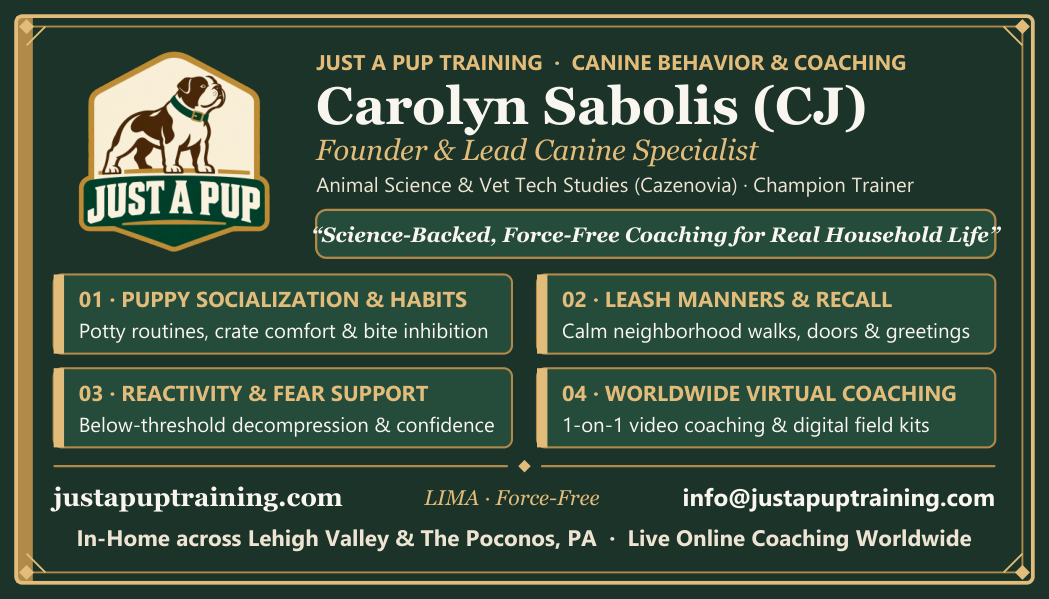 Carolyn Sabolis Warm Editorial Front 300 DPI